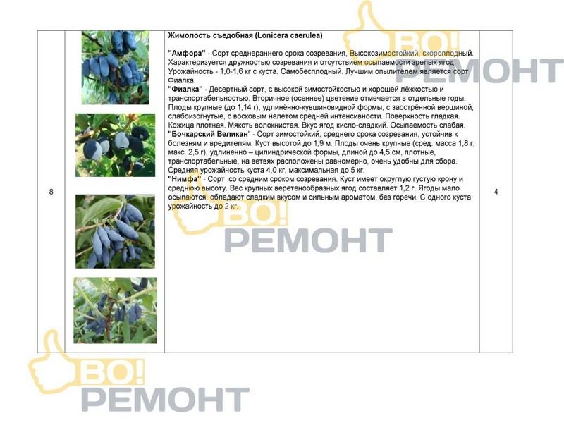 Проект благоустройства территории-102